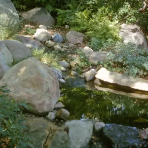 Bullard Brook