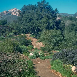 Porter Trail looking north
