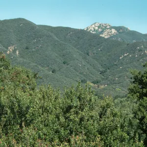 View North from Porter Trail