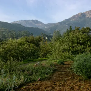 Mountains from Porter Trail