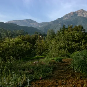 Mountains from Porter Trail