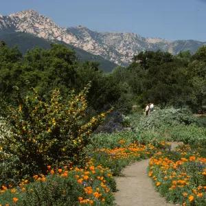 Porter Trail in Bloom