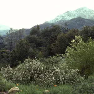 Snow on the Mountains from Porter Trail