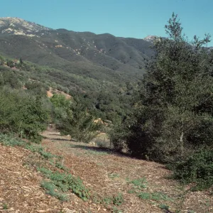 Porter Trail Looking Toward the Mountains