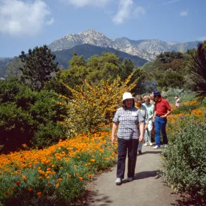 Poppies and People on the Porter Trail