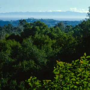 View of the Channel Islands from Porter Trail