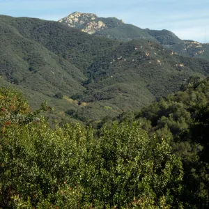Santa Ynez Mountains from the Porter Trail
