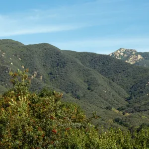 Santa Ynez Mountains from Porter Trail