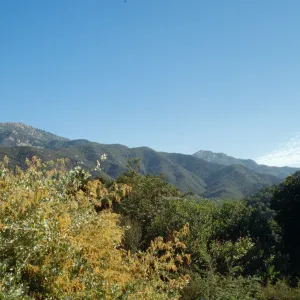 Porter Trail Looking Towards Mountains