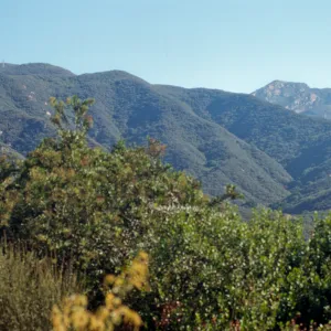Santa Ynez Mountains from Porter Trail