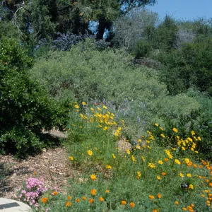 Spring on the Porter Trail