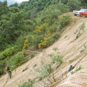 Pritchett Trail Washout, jute rolled out on slope for soil retention