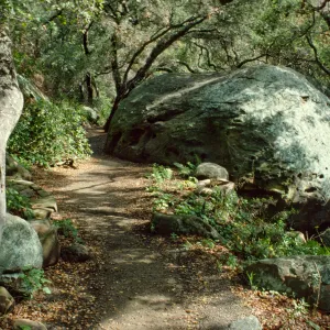 Large Boulder along the Pritchett Trail 