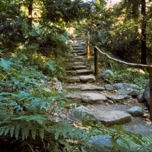 The Indian Steps
