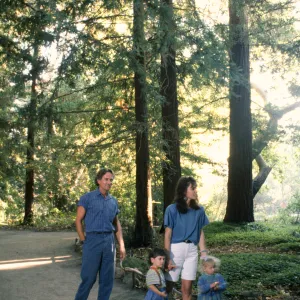 Photo Shoot Redwood section