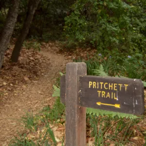 directional wood sign to Pritchett Trail