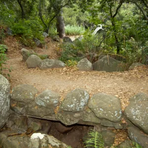 foot bridge on the Pritchett Trail