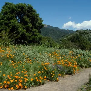 Porter Trail in the Spring