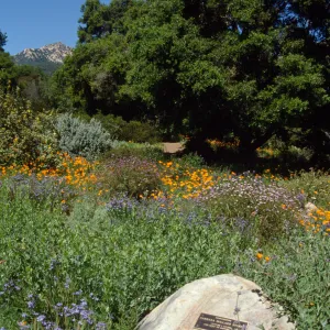 Porter Trail in the Spring