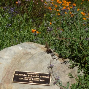 Barbara Bullard Storke Memorial plaque, on the Porter Trail