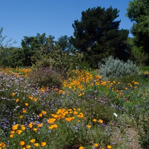 Spring on the Porter Trail