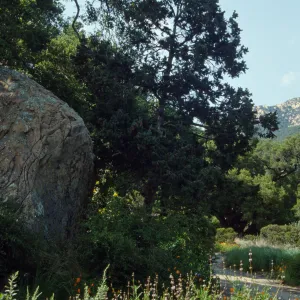 Blaksley Boulder, eastern edge of the Meadow