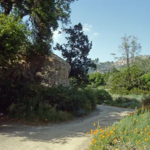 Blaksley Boulder, eastern edge of the Meadow
