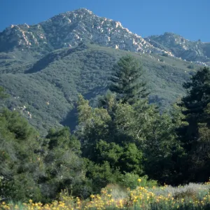 Top of Meadow, view of La Cumbre Peak