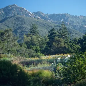 Top of Meadow, view of La Cumbre Peak