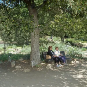 Meadow view, ladies on wood bench facing meadow