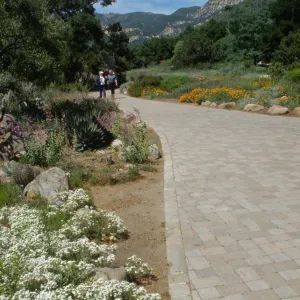 Desert Section and groundcover display with pavered path