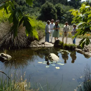 Garden pond near meadow, Docent Tour group