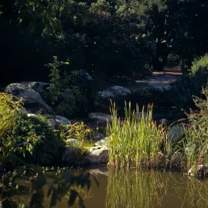 Garden pond