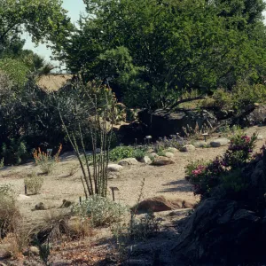 Desert wash section