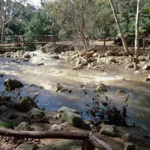 Mission Creek above Mission Dam, flood