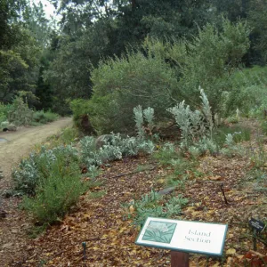 Island Section and path