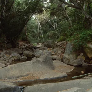 looking up Mission Creek with boulders and oaks
