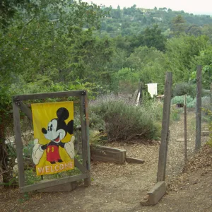 Children's Garden at SBBG