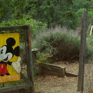 Children's Garden