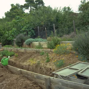 Children's Garden