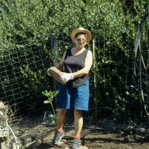 Children's Garden