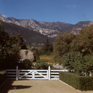 Meadow from Library Steps