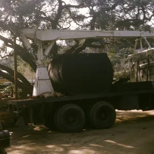 Herbarium Construction