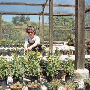 Horticulture Unit