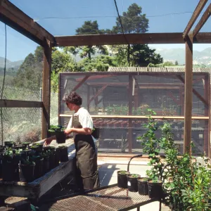 Horticulture Unit covered growing area, plant propagator