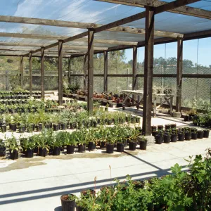 Horticulture Unit covered growing area, gallon pots, potted plants