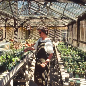 Horticulture Unit, inside the Horticulture lathe house