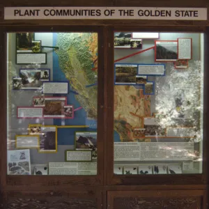 California Plant Communities exhibit window in the Information Kiosk