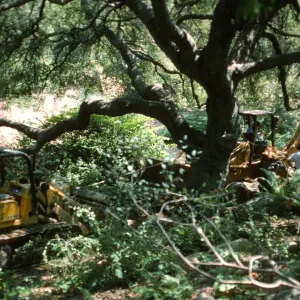 Septic Tank Construction