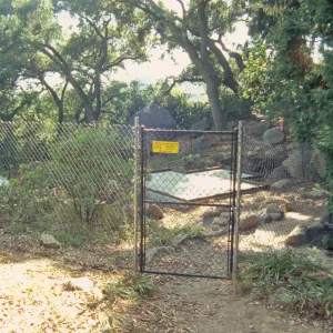 Tea House Construction